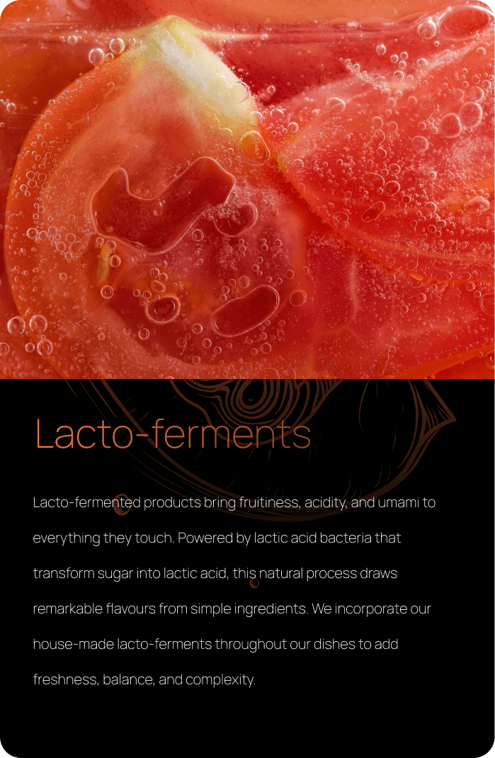 Lacto-ferments
