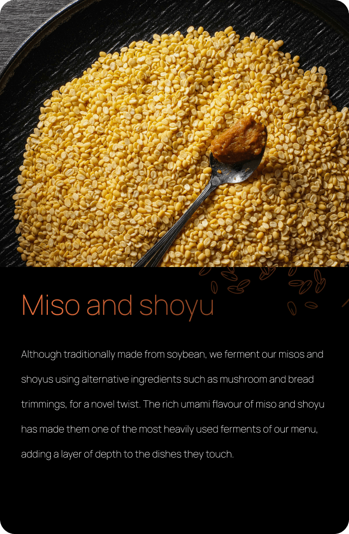 Miso and shoyu