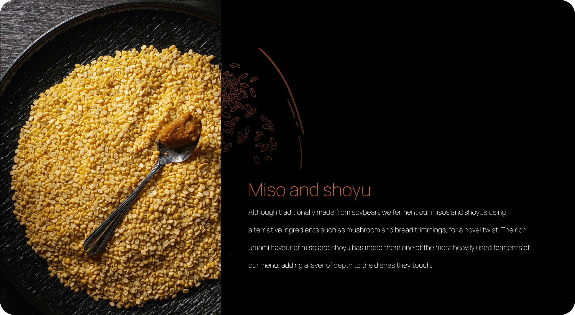 Miso and shoyu