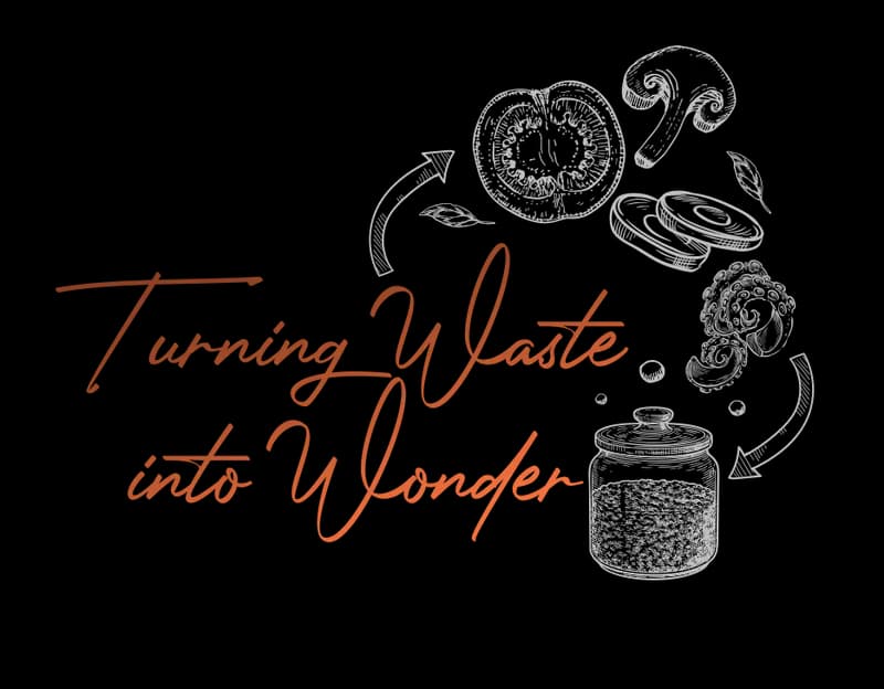 Illustration of fermentation vessels and ingredients